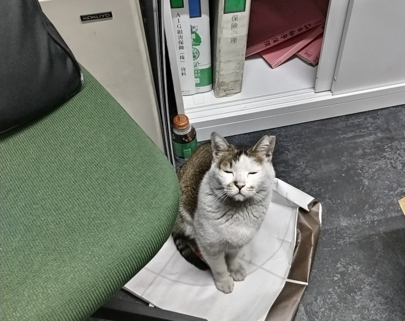 暑―い夏が終わった思うたら、すぐに寒うなったな