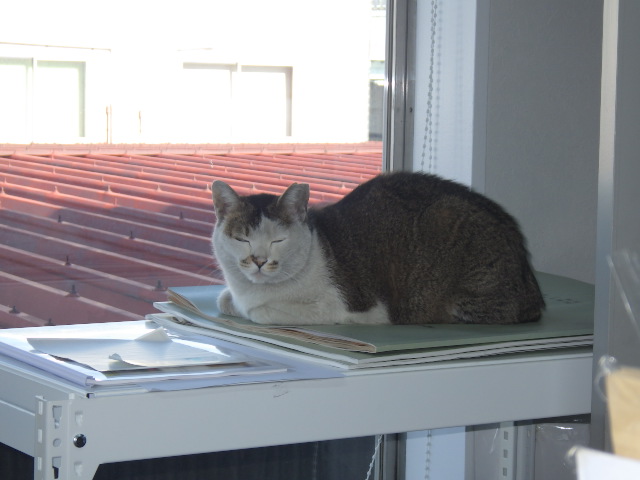 暑―い夏が終わった思うたら、すぐに寒うなったな